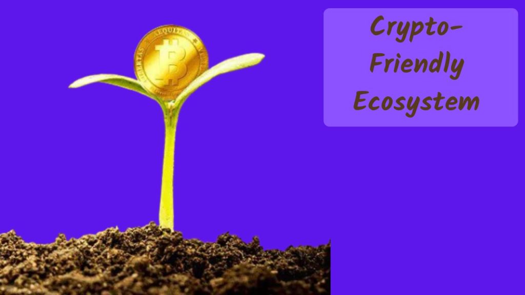 Crypto-Friendly Ecosystem, Exploring the Future of Telegram in the Evolving Cryptocurrency Landscape, telegram crypto community, crypto telegram group, blockchain community engagement, Telegram community sustainability, long-term Telegram resilience, Telegram community adaptability, Telegram governance, mitigating Telegram risks
